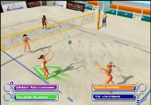 Summer Heat Beach Volleyball - PlayStation 2