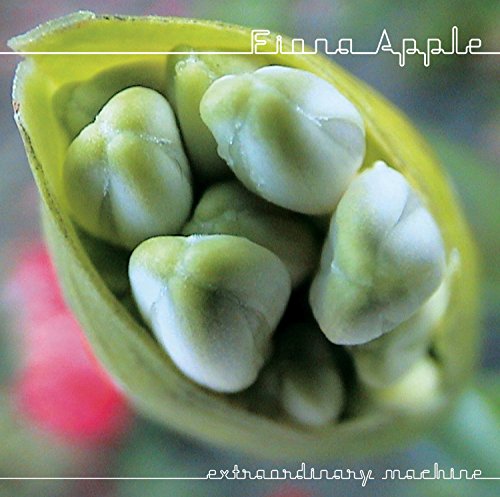 Fiona Apple / Extraordinary Machine - CD (Used)