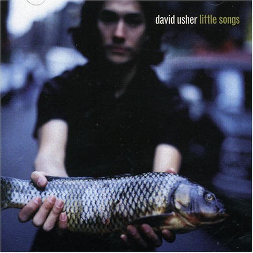 David Usher / Little Songs - CD (Used)