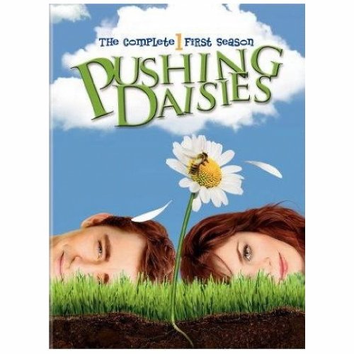 Pushing Daisies / Season 1 - DVD (Used)