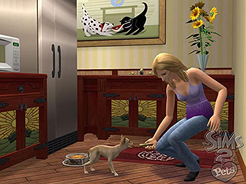 The Sims 2: Pets and Friends