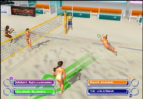 Summer Heat Beach Volleyball - PlayStation 2