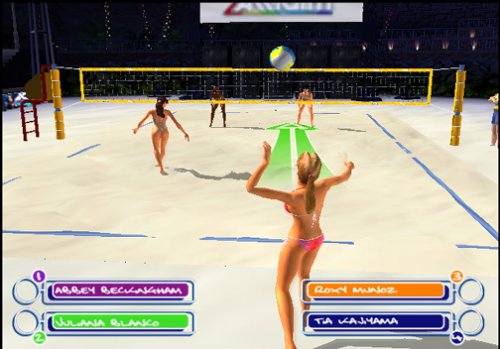 Summer Heat Beach Volleyball - PlayStation 2