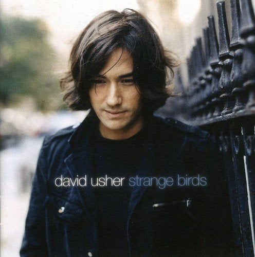 David Usher / Strange Birds - CD