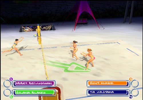 Summer Heat Beach Volleyball - PlayStation 2