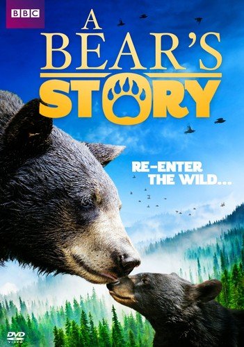 A Bear Story: Spirit&