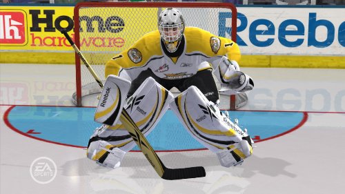 NHL 2011