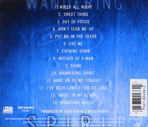 Mick Jagger / Wandering Spirit - CD (Used)