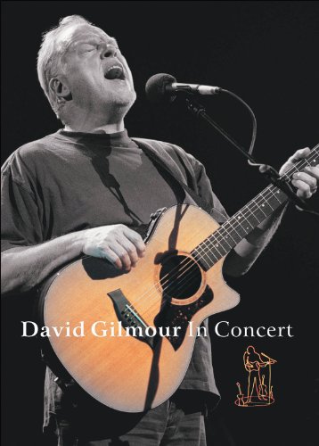 David Gilmour / In Concert (2002) - DVD (Used)