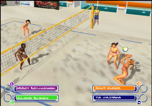 Summer Heat Beach Volleyball - PlayStation 2