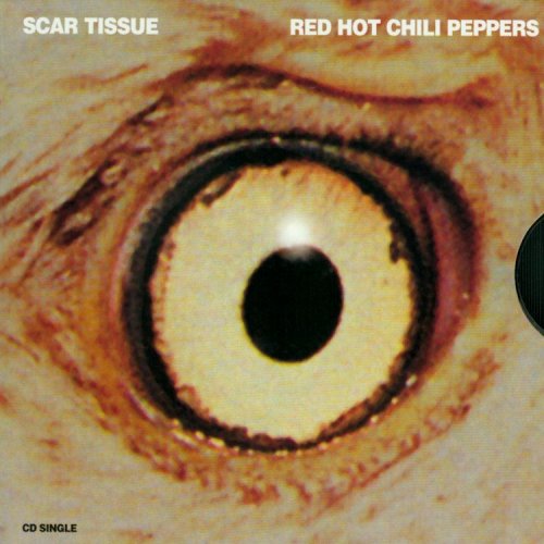 Red Hot Chili Peppers / Scar Tissue + Gong Li - CD (Used)