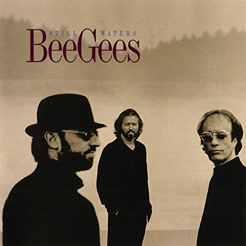 Bee Gees / Still Waters - CD (Used)