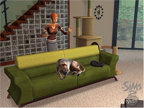 The Sims 2: Pets and Friends