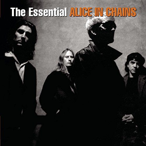 Alice In Chains / The Essential Alice In Chains - CD (Used)