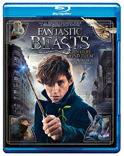 Fantastic Beasts and Where To Find Them - Blu-Ray/DVD (Used)