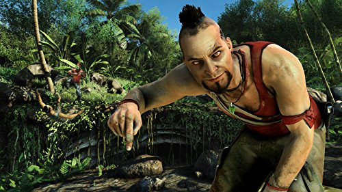 Far Cry 3 - PlayStation 3 Standard Edition