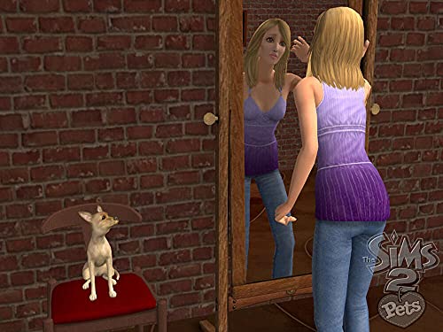 The Sims 2: Pets and Friends