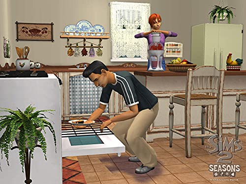The Sims 2: Through the Seasons - Windows