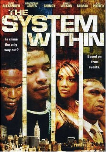 NEW System Within (DVD)