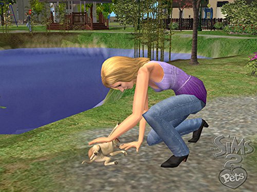 The Sims 2: Pets and Friends