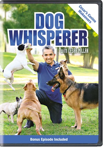 Dog Whisperer With Cesar Millan: Canine Makeovers