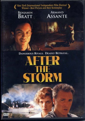 After the Storm [Import]