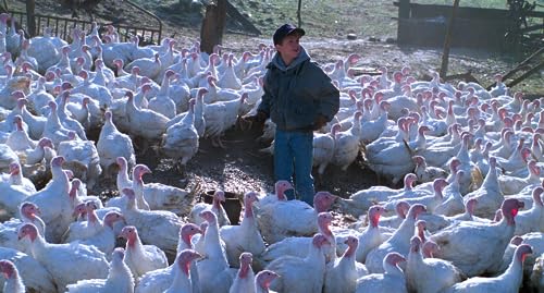 Needful Things - 4KUHD/Blu-ray