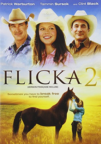 Flicka 2 - DVD (Used)