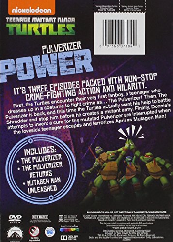 Teenage Mutant Ninja Turtles: Pulverizer Power