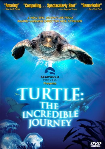 Turtle: The Incredible Journey - DVD