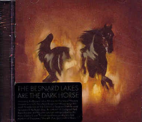 Besnard Lakes / Are the Dark Horse - CD (Used)