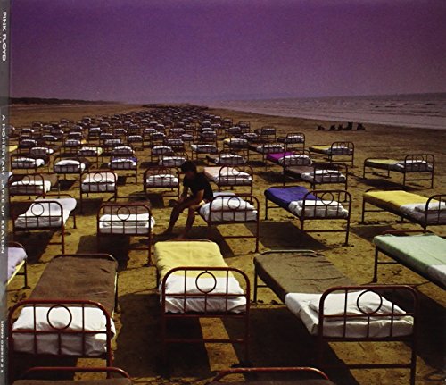 Pink Floyd / A Momentary Lapse of Reason - CD (Used)