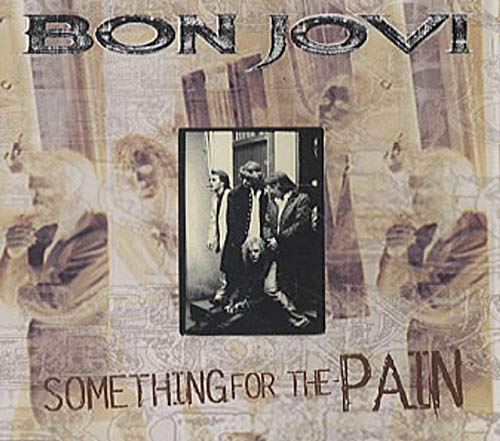 Something for the pain [Single-CD]