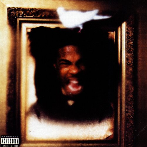 Busta Rhymes / The Coming - CD (Used)
