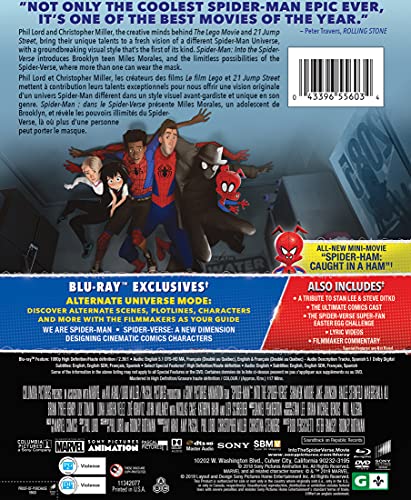 Spider-Man: Into The Spider-Verse - Blu-ray/DVD (Used)