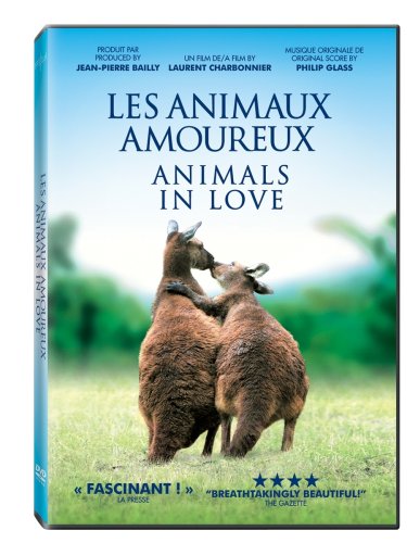 Animals in Love - DVD (Used)