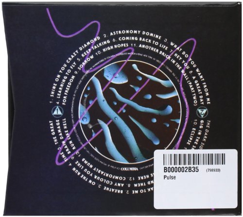 Pink Floyd / Pulse - CD (Used)