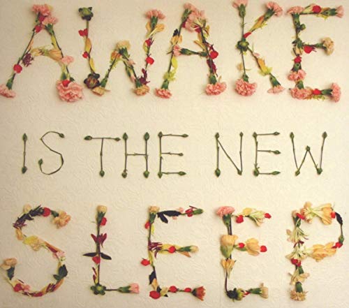 Ben Lee / Awake Is The New Sleep - CD (Used)