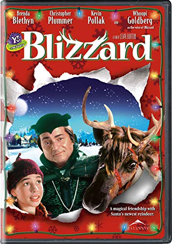 Blizzard - DVD (Used)