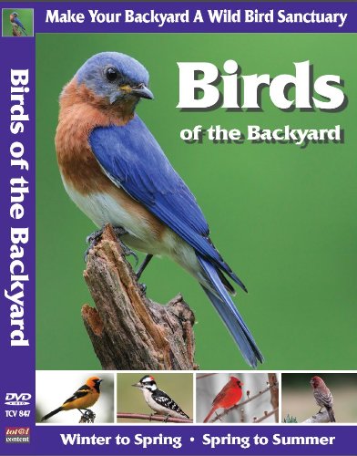 Birds of the Backyard