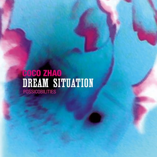 Coco Zhao / Dream Situation Possicobilities - CD