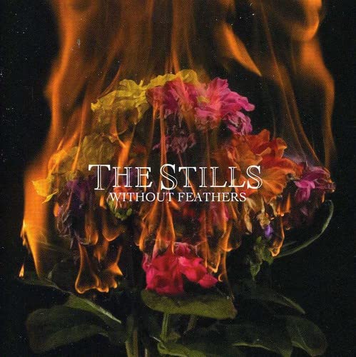 The Stills / Without Feathers - CD (Used)