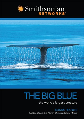 BIG BLUE