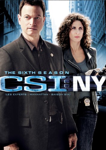 CSI: New York: Season 6 (Bilingual)