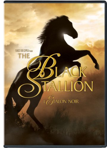 Black Stallion