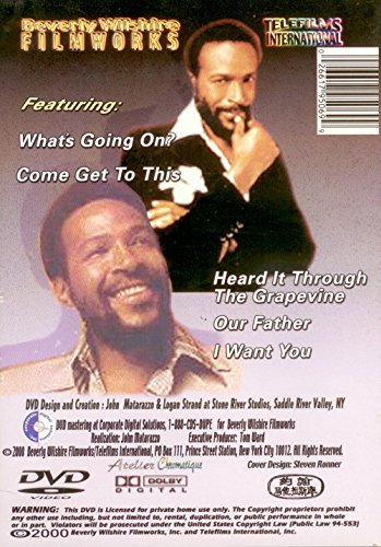 Marvin Gaye: Searching Soul