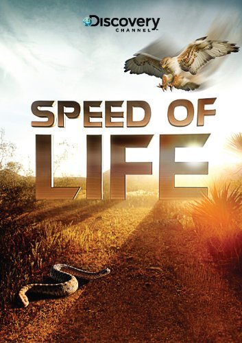 Speed of Life