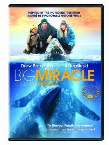 Big Miracle (Bilingual) - DVD (Used)