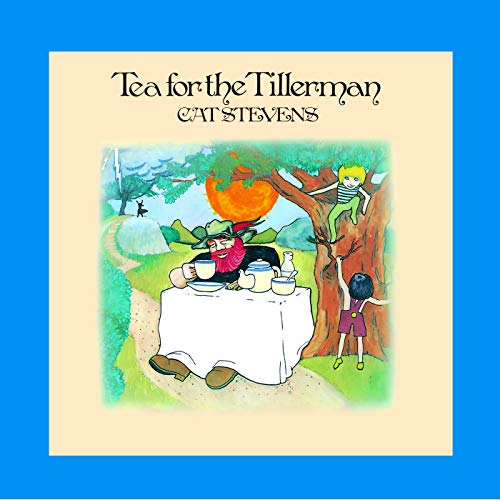 Cat Stevens / Tea For The Tillerman - CD (Used)