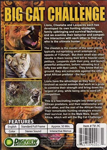 Big Cat Challenge - DVD (Used)